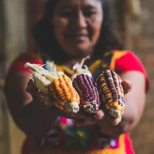 Cooking Class in Oaxaca. Corn & Nixtamal