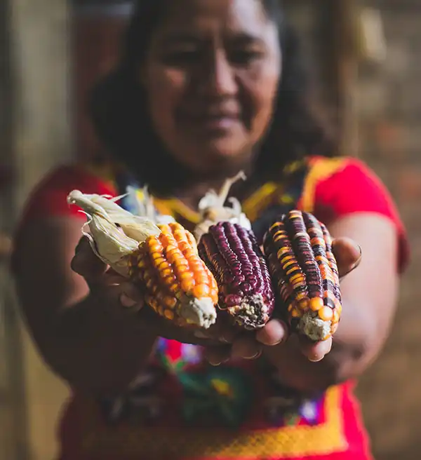 Cooking Class in Oaxaca. Corn & Nixtamal